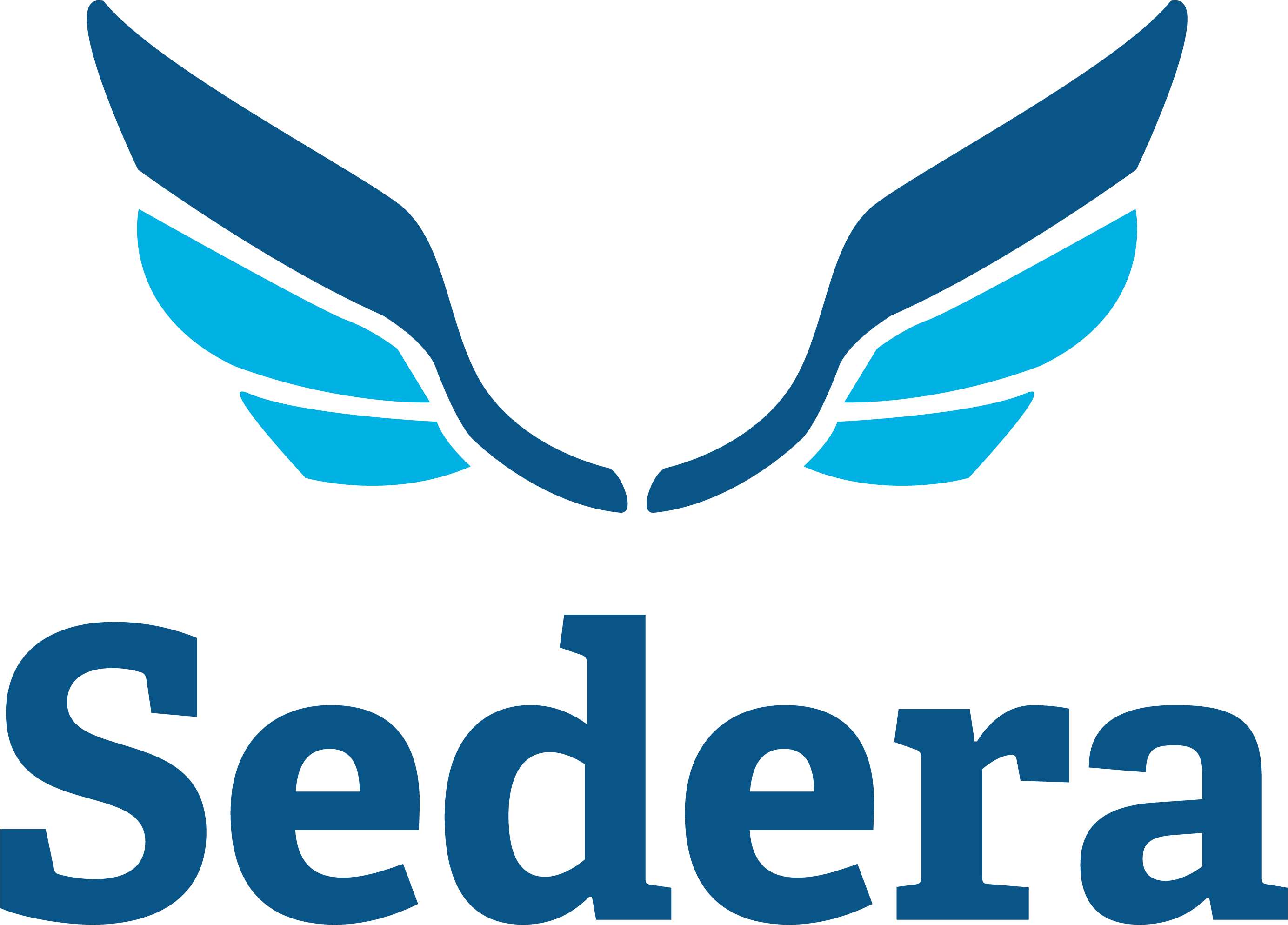 Sedera Blues Logo Vertical